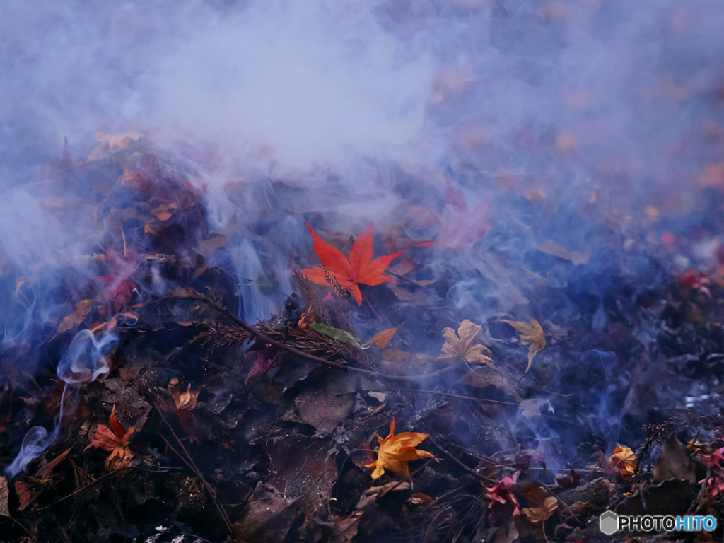 紅のフィナーレ１