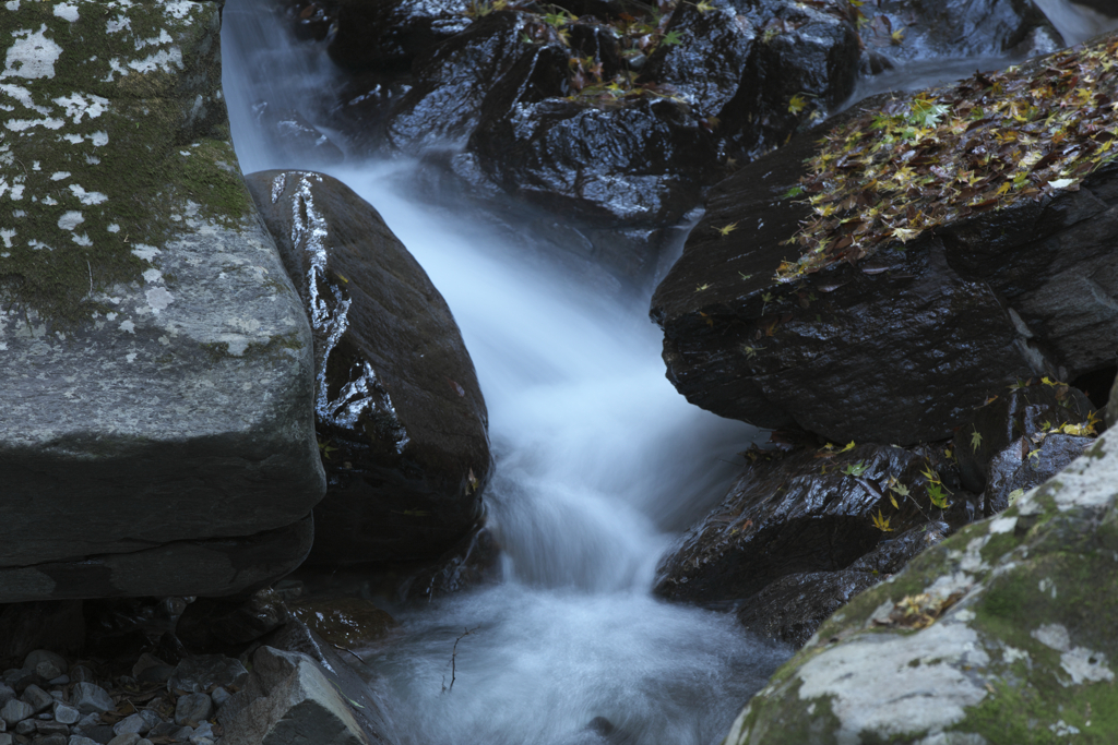 渓谷にて