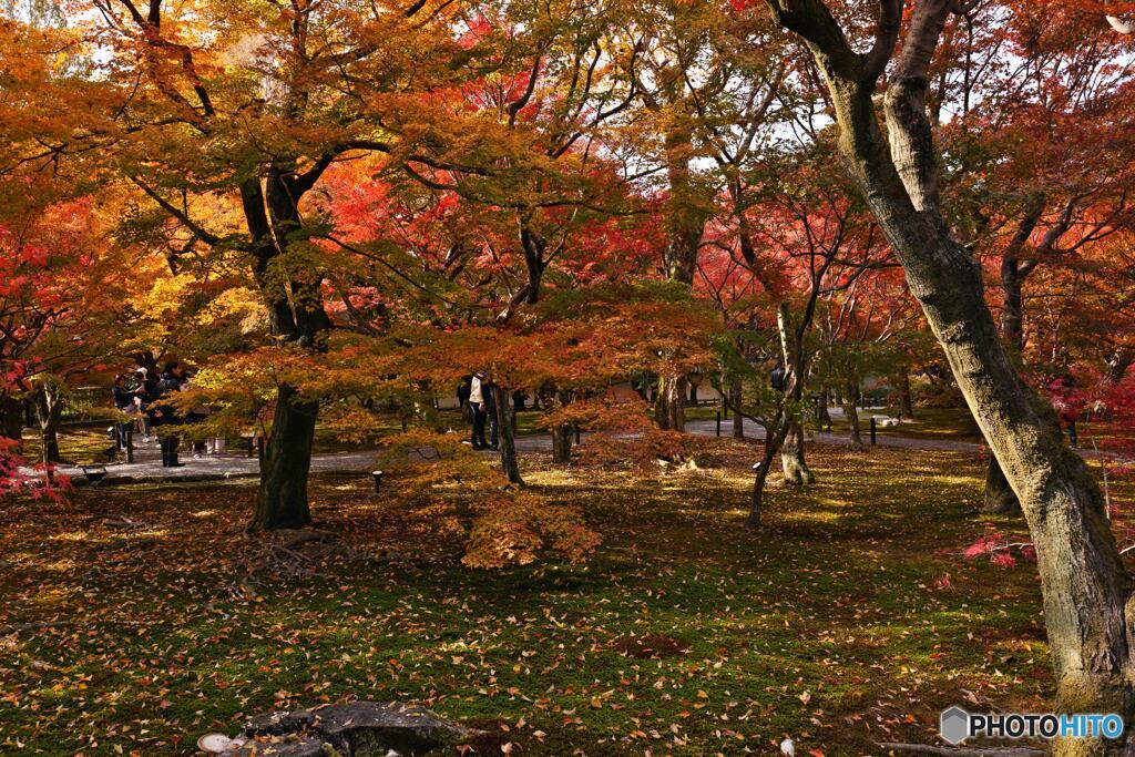 東福寺庭園