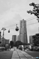 YOKOHAMA8