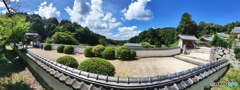 真夏の参道