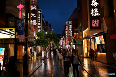 YOKOHAMA4