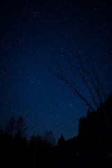 IMG_7370