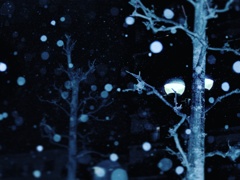 2017 Winter