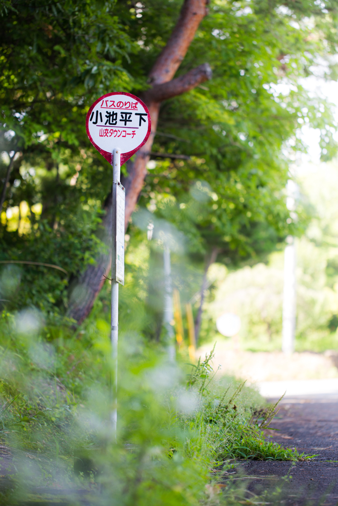 「小池平下」山梨県北杜市