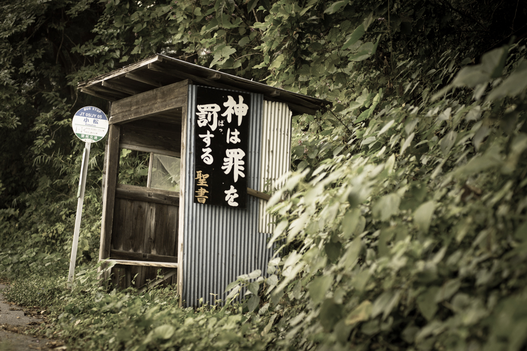 「小松」群馬県利根郡みなかみ町