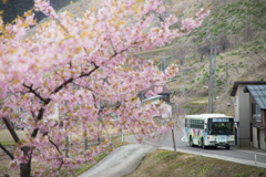 糸魚川バス