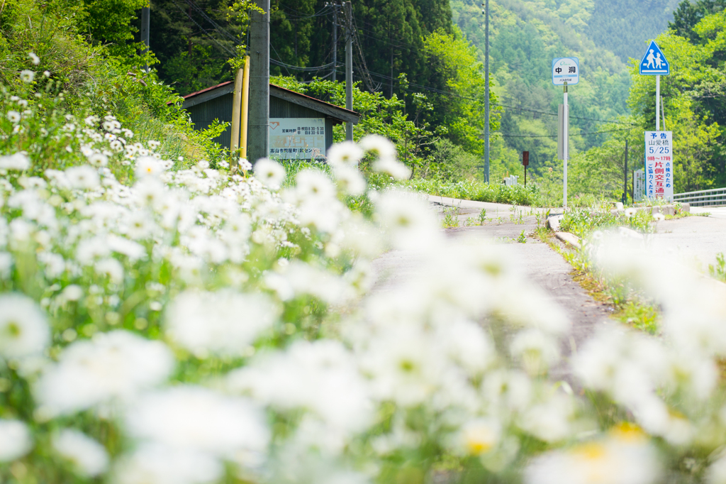 「中洞」岐阜県高山市