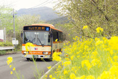西伊豆東海バス