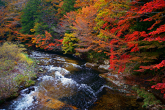 薬研紅葉