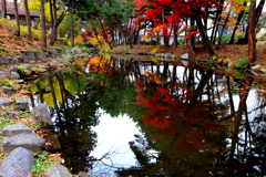 盛岡城跡公園 1
