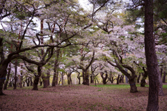 野木和公園