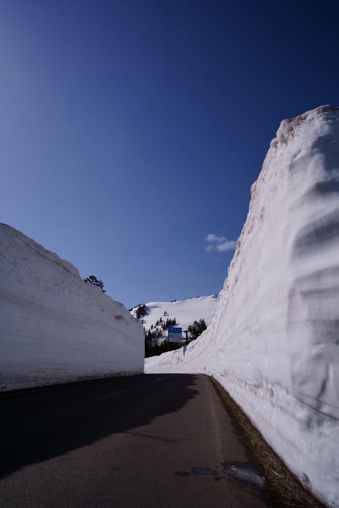 雪の回廊