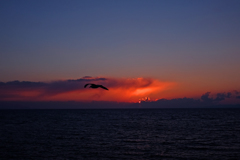 夕焼け
