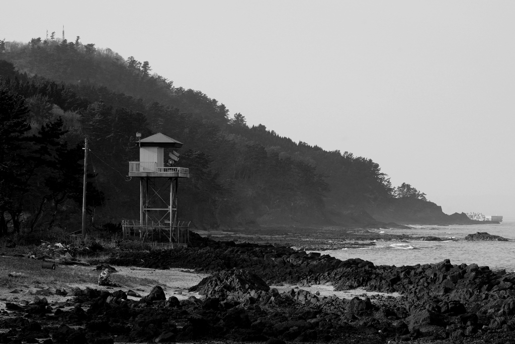 トトロの向こう側