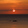 夕日