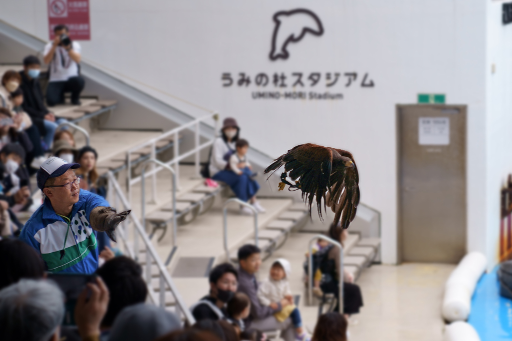 うみの杜水族館2