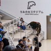 うみの杜水族館2