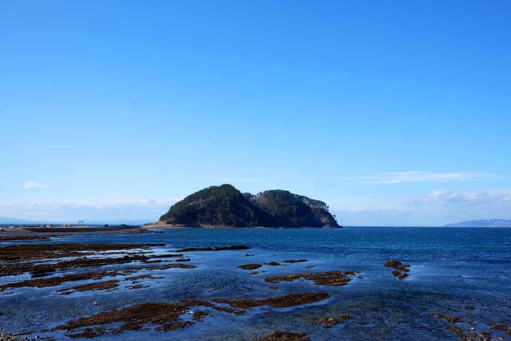 夏泊半島 大島