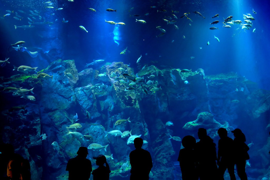 男鹿水族館GAO