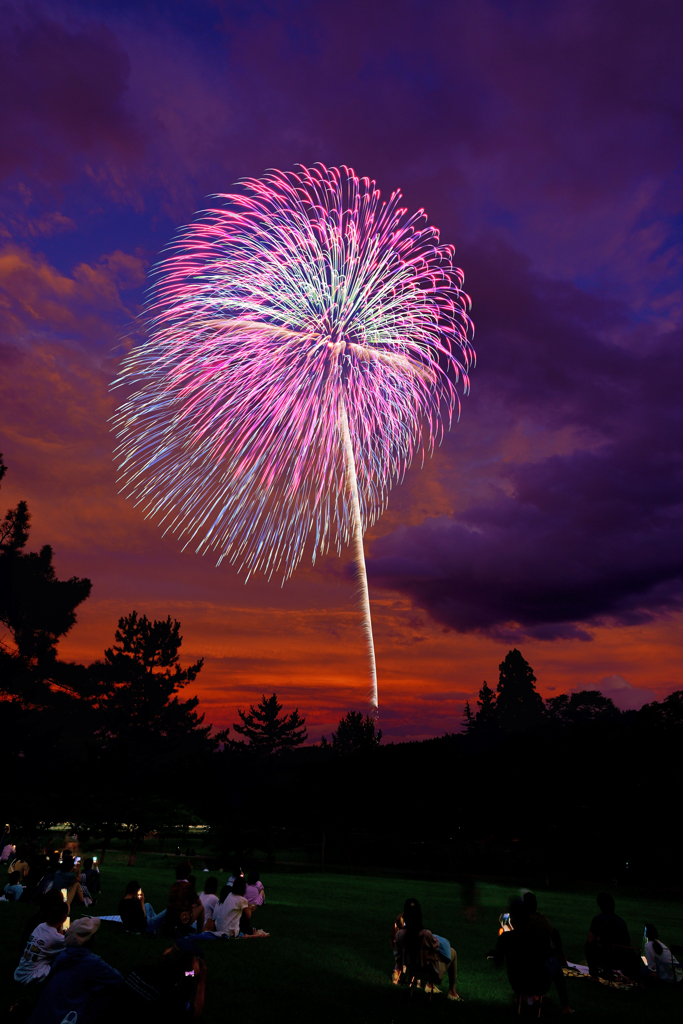 hanabi