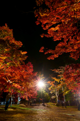 もみじ山