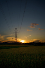 夕日