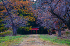 神社