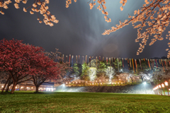 雨の愛宕公園