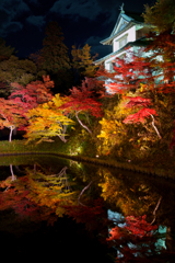 弘前城菊と紅葉まつり2022 その2