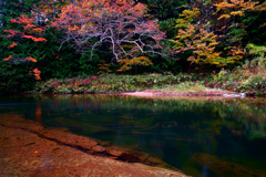 薬研紅葉2