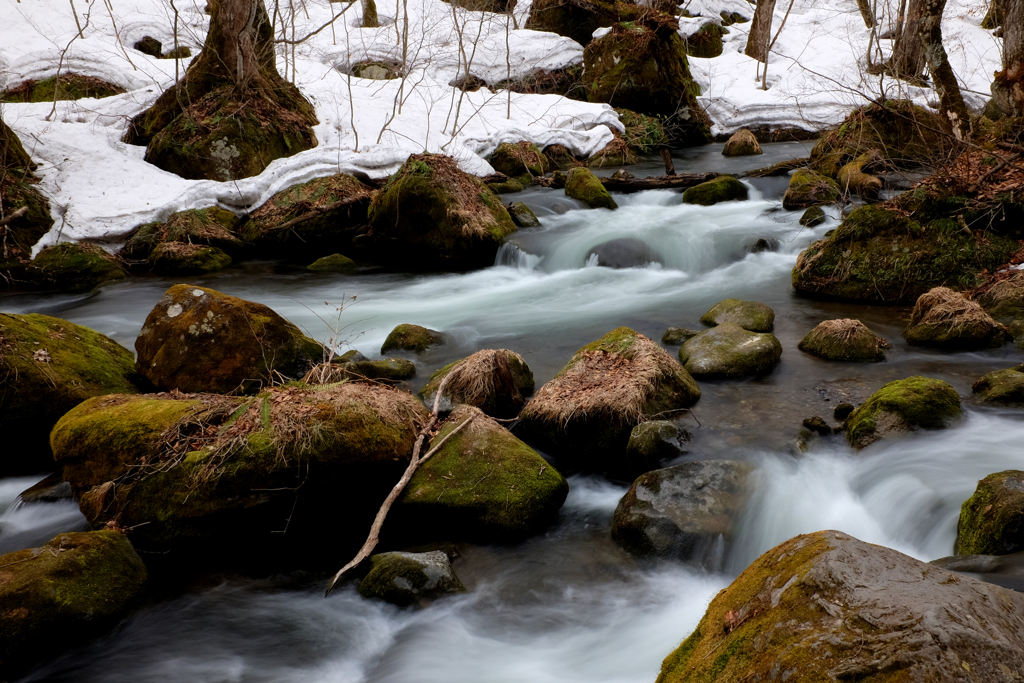 雪解けの奥入瀬1