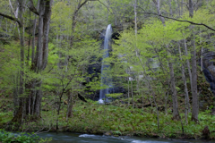 白布の滝