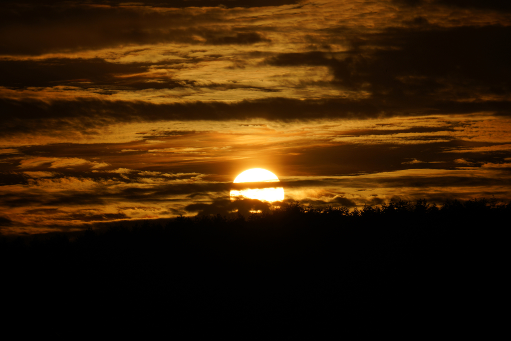 夕日
