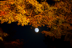 月夜の月見坂 3