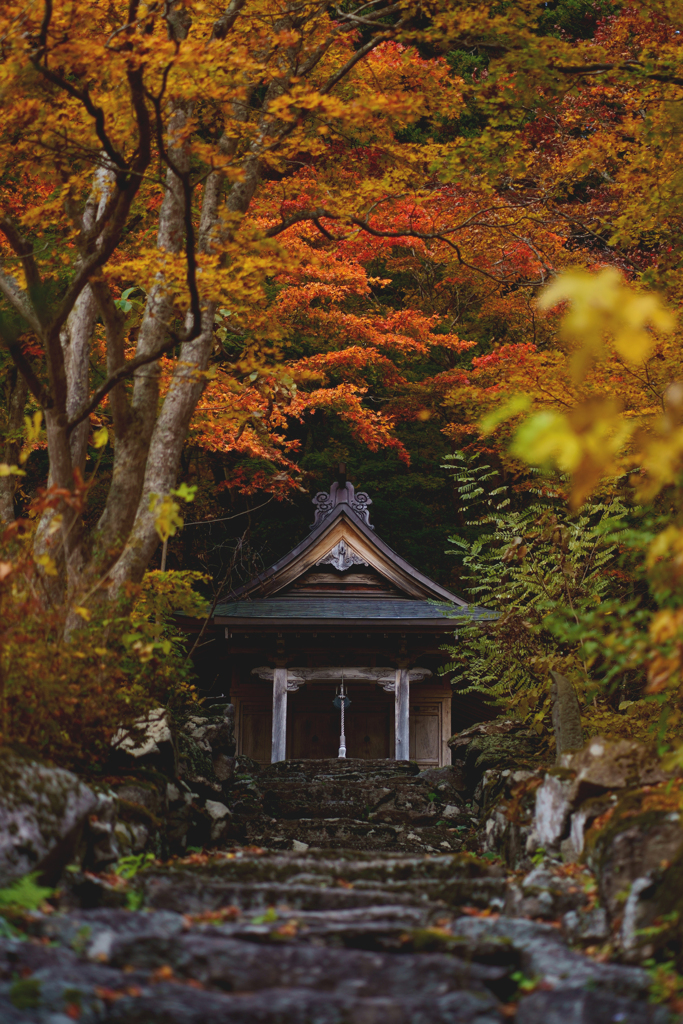 浄仙寺1