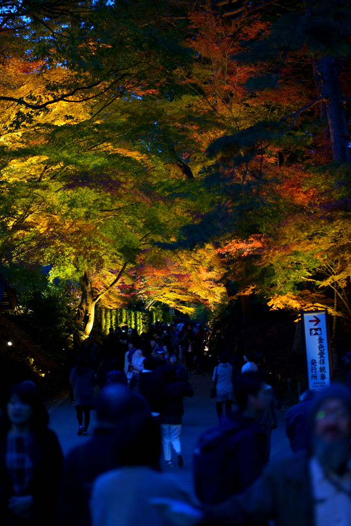 月夜の月見坂 1