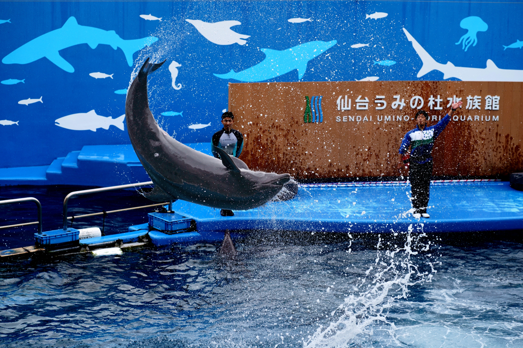 うみの杜水族館