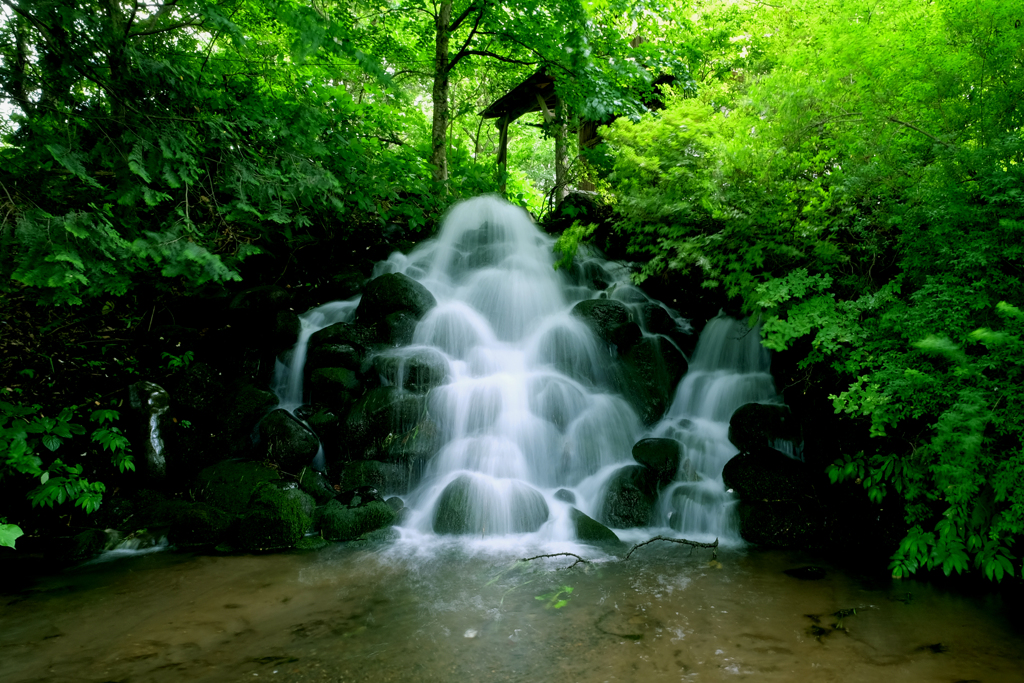 鯉艸郷 長寿の滝