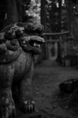 十和田神社