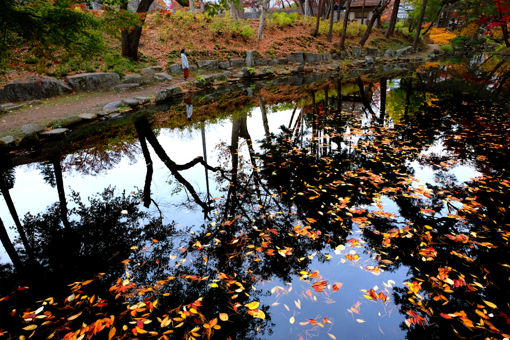 盛岡城跡公園 2