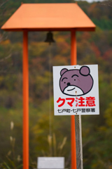 クマ注意