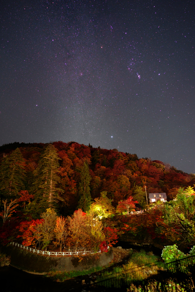 中野もみじ山