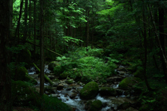 中山道２