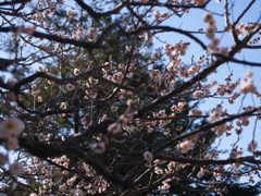 散歩