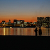 お台場海浜公園の夜景