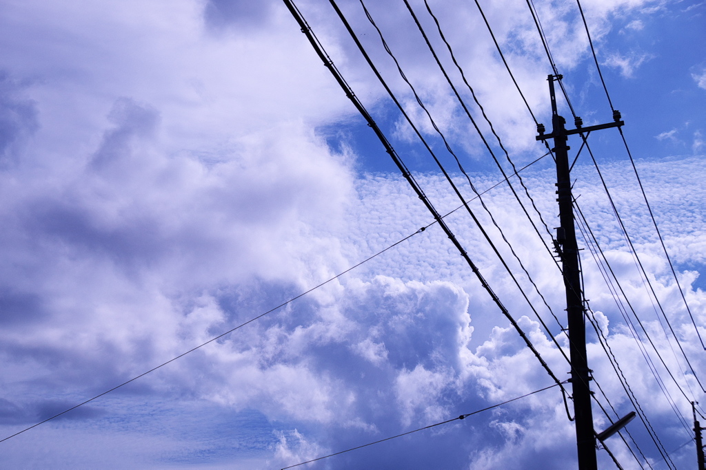 恐いほど夏空