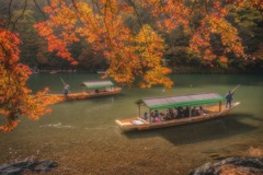 京都 - 嵐山  紅葉