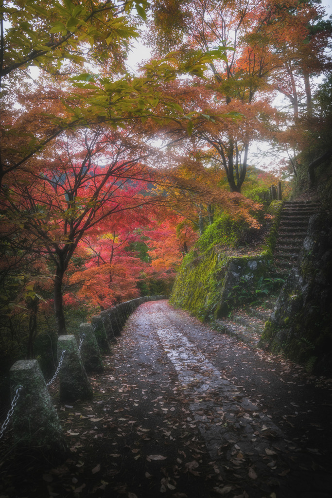 奈良 - 吉野山