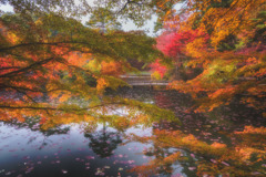 兵庫 - 神戸森林植物園